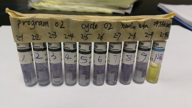 灭菌器验证中生物指示剂选择要求